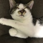 10月の定休日